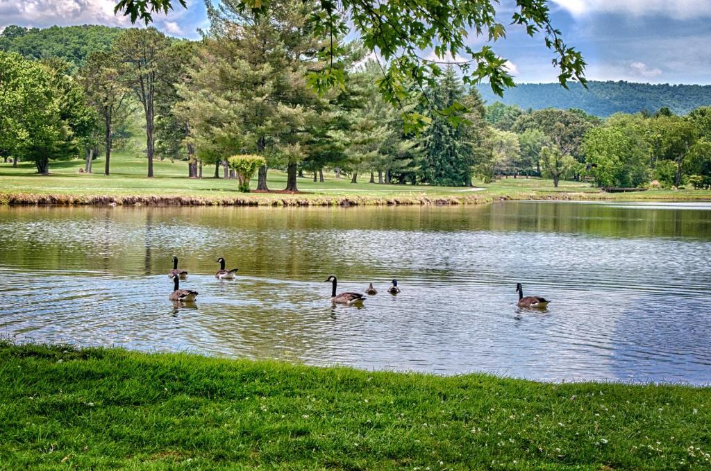 Etowah Valley Golf & Resort Екстер'єр фото